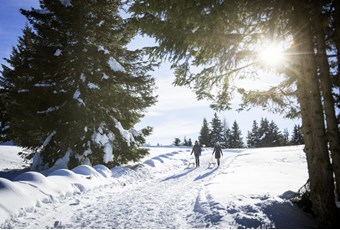 Vacanze invernali