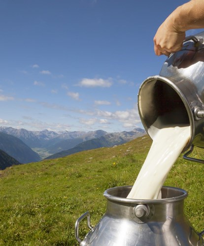 milch-alm-mg-wiese