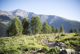 Ultental Valley