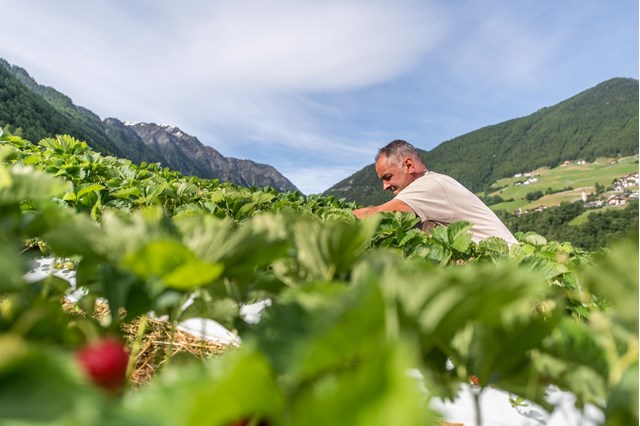 innertasahof-idm-suedtirol-manuel-pazeller-8