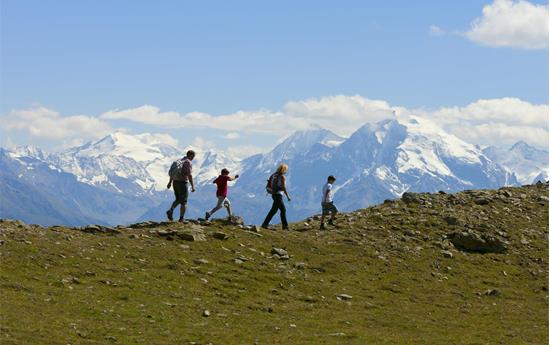 5- Punti panoramici - Escursione guidata nel Parco Nazionale dello Stelvio