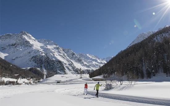High-Altitude Cross-Country Skiing Trail in Solda/Sulden