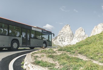 Arrivo in autobus