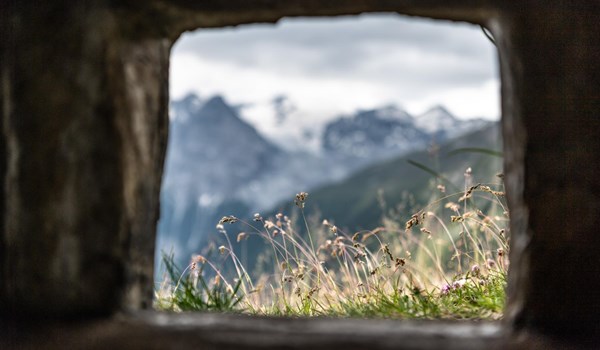 Fatti e cifre sul Parco nazionale