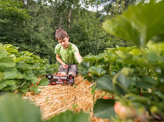 MEG – Cooperativa frutticoltori di Martello